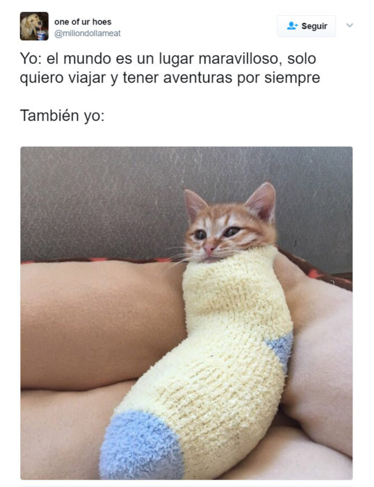 Meme okchicas. Chicas que aman estar en casa 