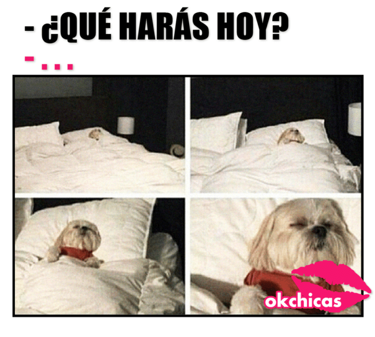 Memes okchicas. Mujeres que aman quedarse en casa 