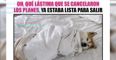 15 Divertidos memes que solo las chicas que aman estar en casa entenderán