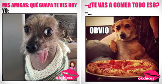 15 Memes de perros que son perfectos para la depresión