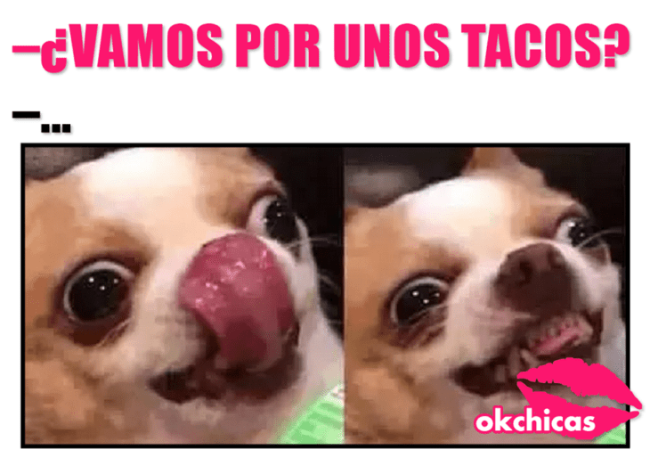 Meme okchicas de perritos 