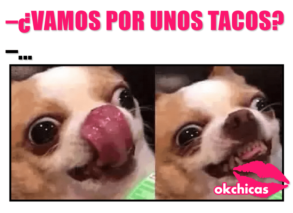 Memes De Perros Que Te Har N Llorar De La Risa