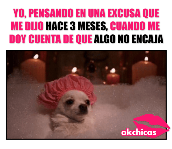 Meme okchicas de perritos 