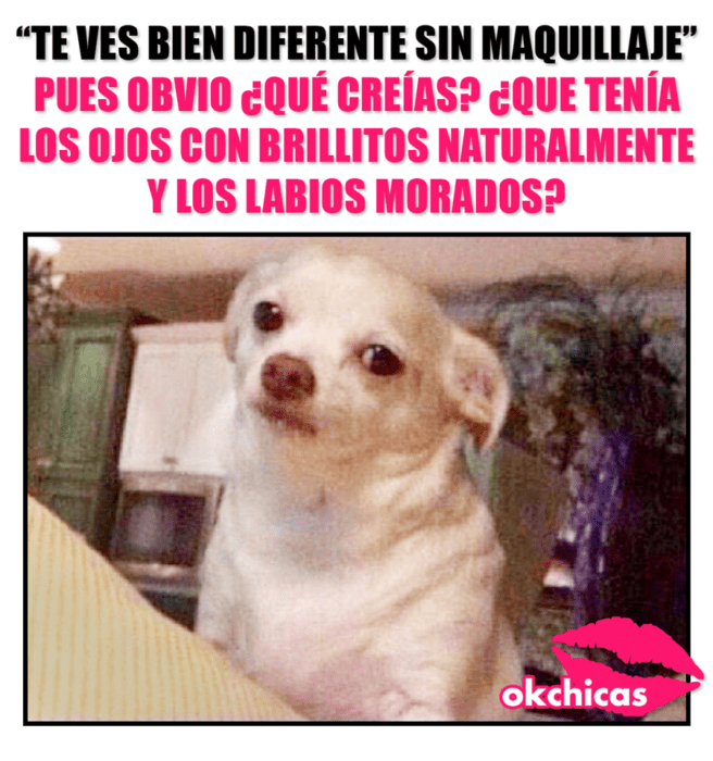 Meme okchicas de perritos 