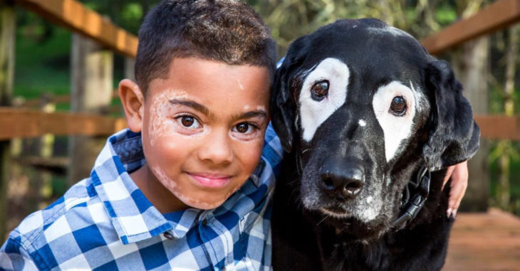 Supera la depresión gracias a su nuevo mejor amigo: un perro con su misma enfermedad