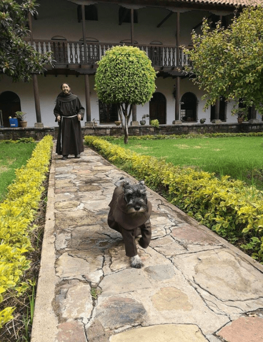 perrito frayle