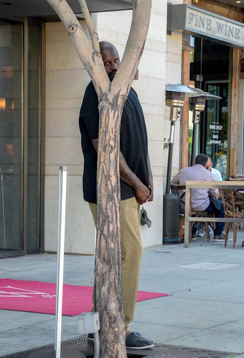 shaquille o'neal paparazzi