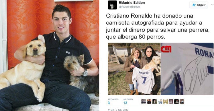 Cristiano Ronaldo salva a 80 perros de perder su hogar