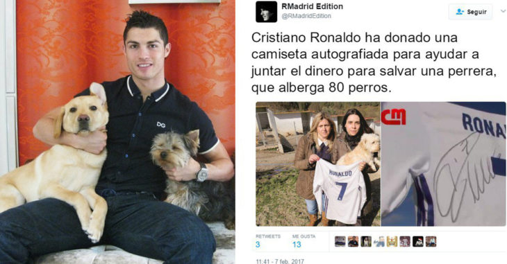 Cristiano Ronaldo salva a 80 perros de perder su hogar