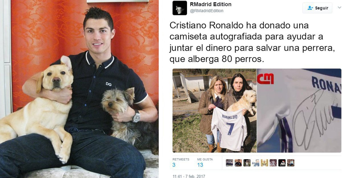 Cristiano Ronaldo es un héroe y salva a 80 perritos