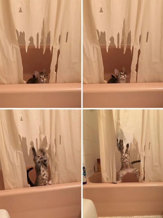 cortina de baño