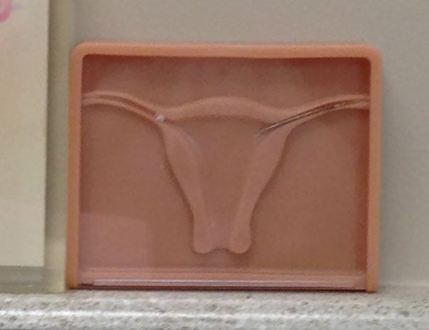 cuadro del aparato reproductor femenino 