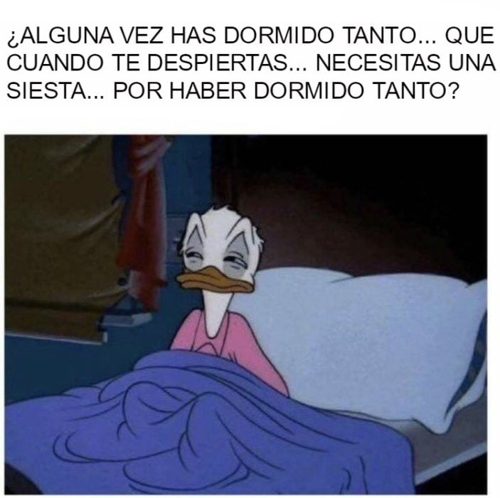 por haber dormido tanto