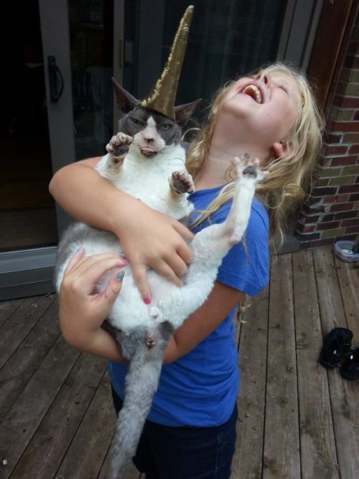 niña con gato unicornio