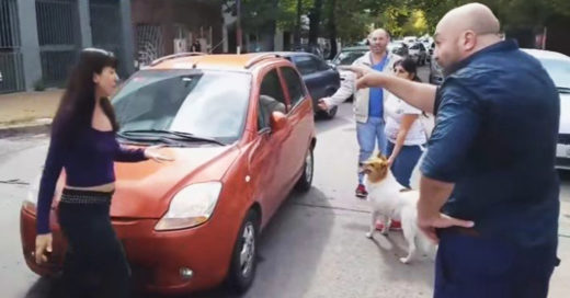 Abandonó a su perrito y huyó; un héroe la persiguió y la obligó a que se hiciera cargo de él