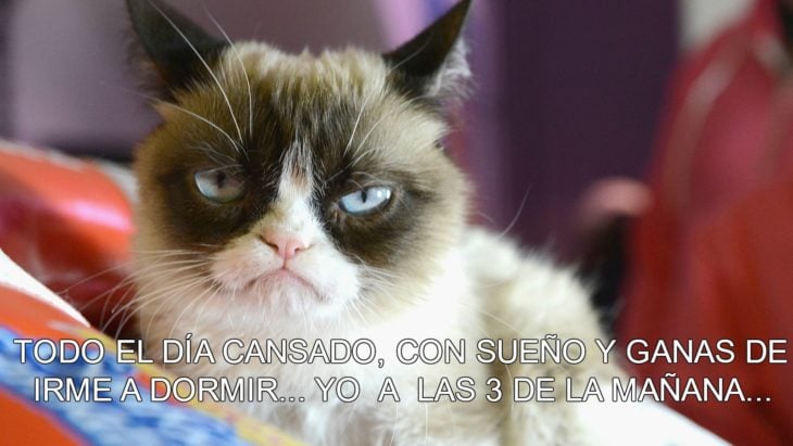 cansado a las 3 a. m. 