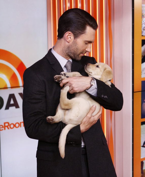 adam levine le gustan los perros