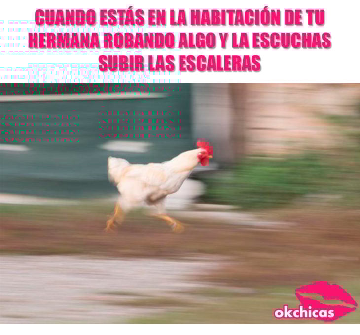 Meme okchicas hermanas 