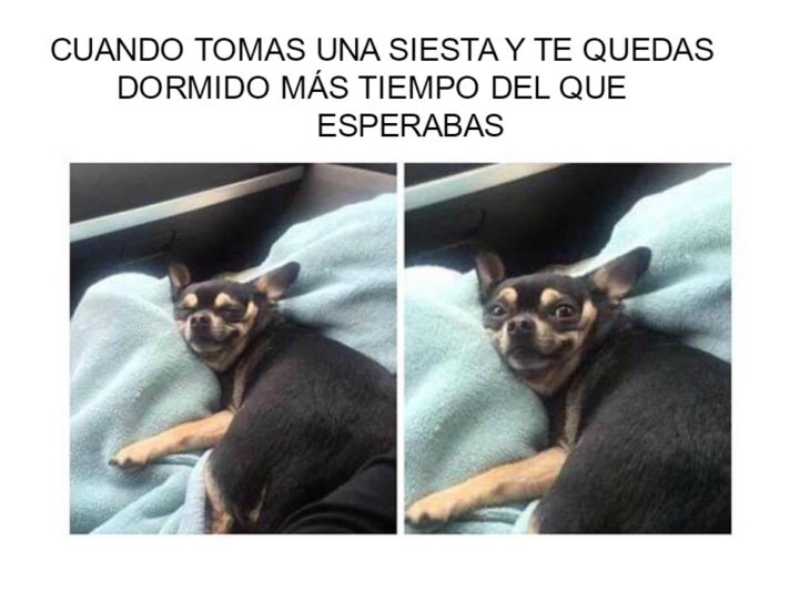 pequeña siesta