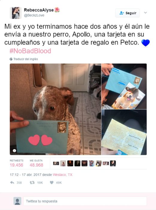 regalo para el perro del ex 