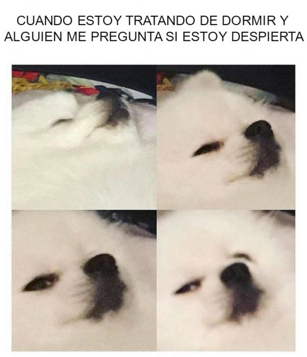 si estoy despierta