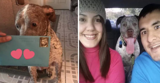 Su ex-esposo le envía un obsequio a su perro después de dos años de separación