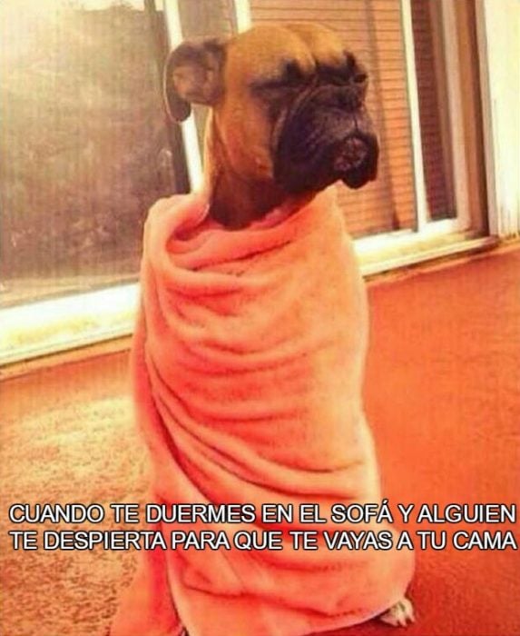 vete a tu cama