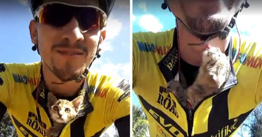 Ciclista salva la vida de un pequeño gato; Internet se derrite de ternura