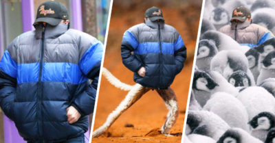 DiCaprio logra esconderse de los paparazzi pero no del Photoshop; los MEMES son sublimes