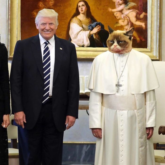 Reacciones de la visita de Trump al Papa Francisco 