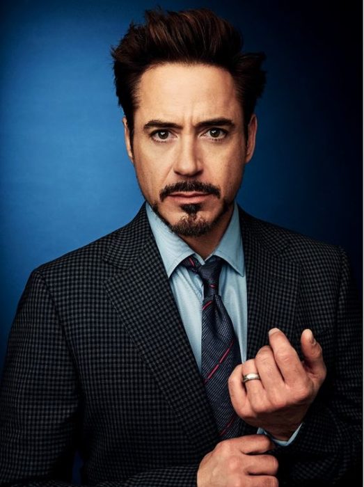 robert downey jr 