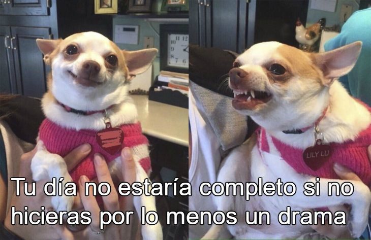 chica alocada meme 10