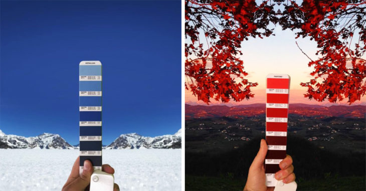 25 Imágenes que demuestran que todo tiene un color 'Pantone'