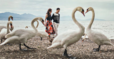 Las 15 mejores fotografías de compromiso del 2017; te recordarán el verdadero amor