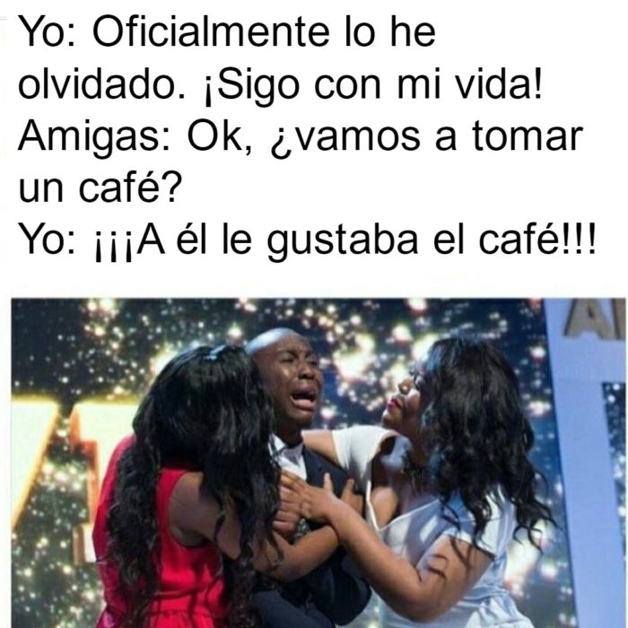 memes café 26