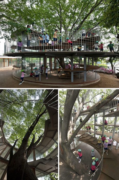 playground aroun tree