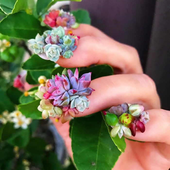 uñas con plantas