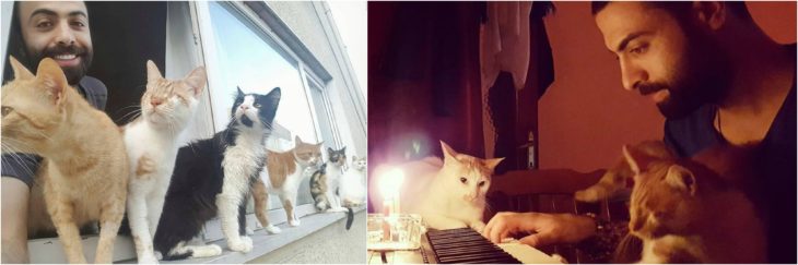 pianista rescata gatos