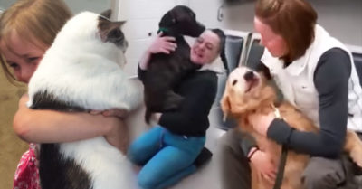 10 Mascotas que demuestran que el amor incondicional SÍ existe