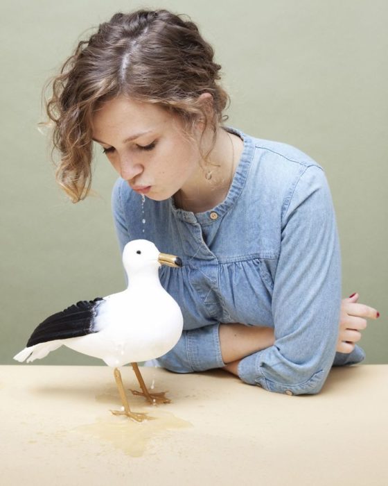 Virginia no escupir a las gaviotas