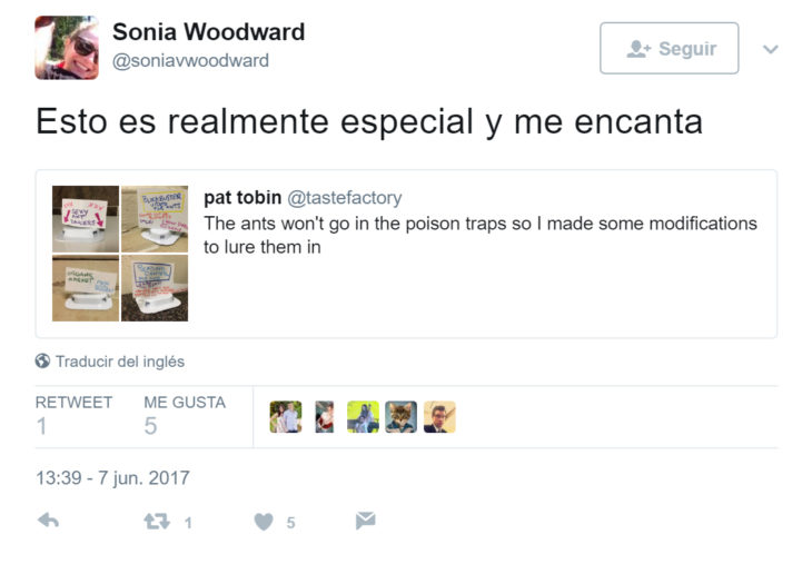 Comentarios de twitter sobre hombre puso carteles a hormigas