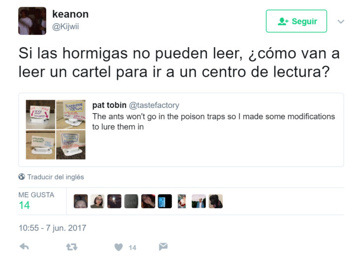 Comentarios de twitter sobre hombre puso carteles a hormigas