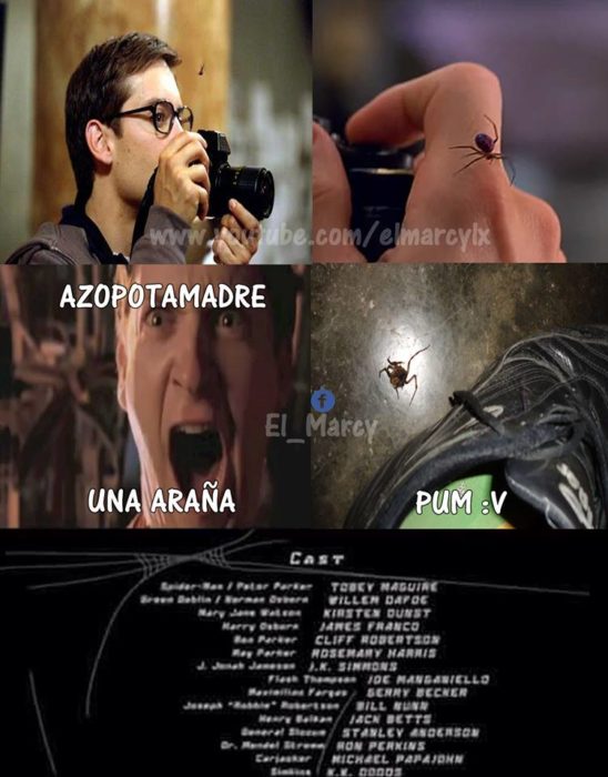 Memes que te ahorrarán dramas innecesarios