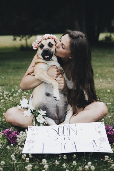 Perrita embarazada en una sesión de fotos 