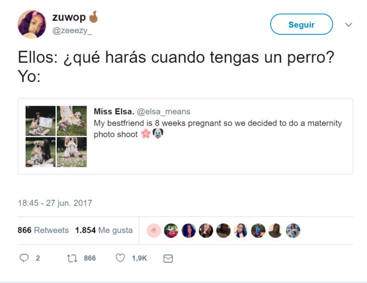 Comentarios en twitter sobre una perrita que tuvo una sesión de maternidad