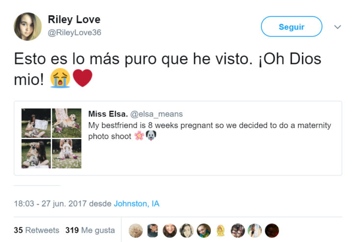 Comentarios en twitter sobre una perrita que tuvo una sesión de maternidad