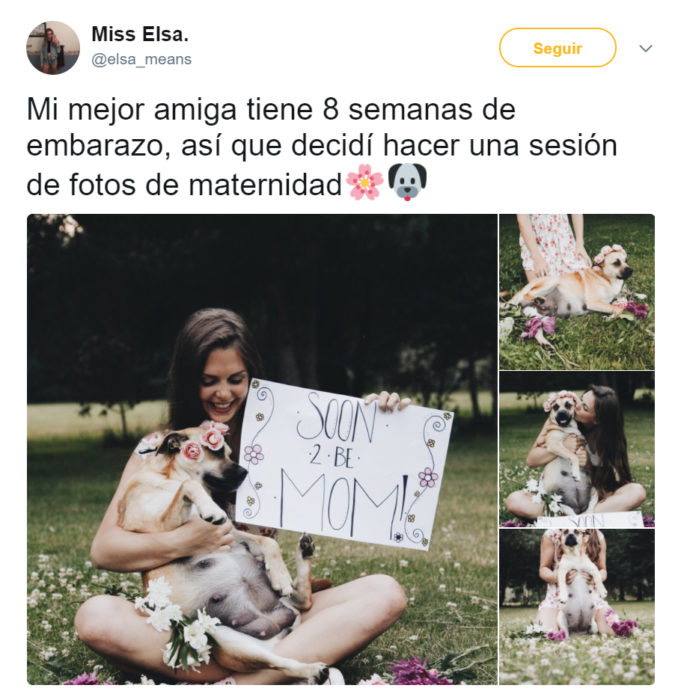 Comentarios en twitter sonbre una perrita que tuvo una sesión de maternidad