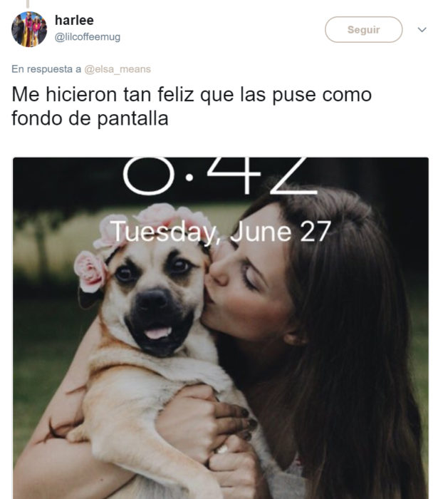 Comentarios en twitter sobre una perrita que tuvo una sesión de maternidad