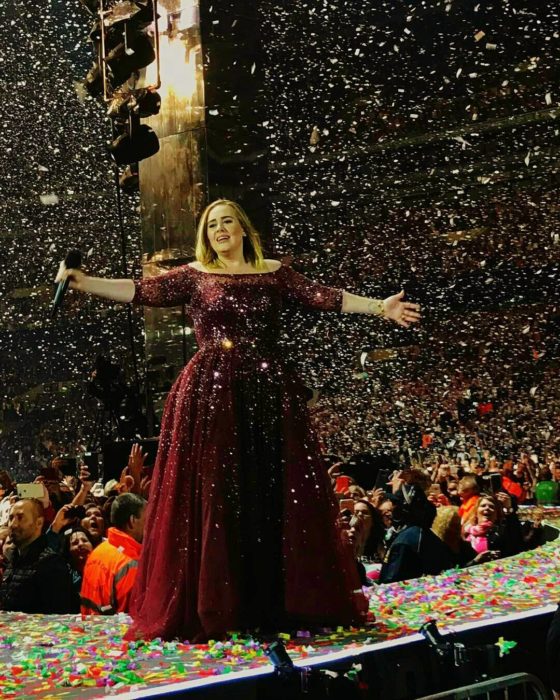 adele se retira 3