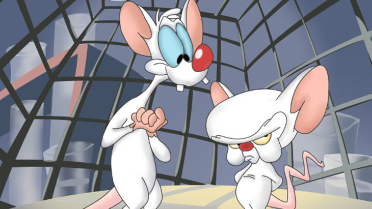 animaniacs vuelve 5